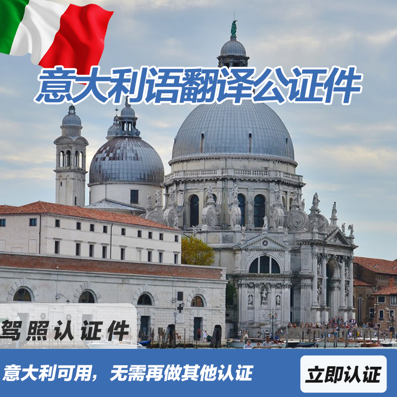 意大利语宣誓翻译(电子档)